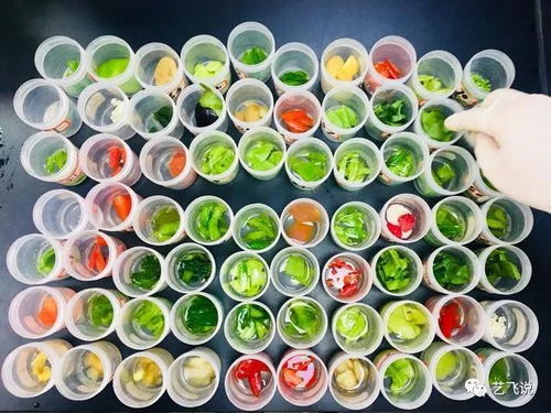 武漢節前農產品質量安全獲堅實保障，189批次抽檢結果全數合格